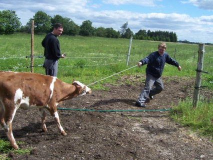 Maren, Poul-Erik og Gert