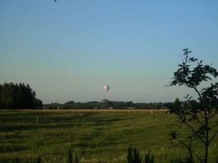 4122010117