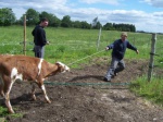 Maren, Poul-Erik og Gert